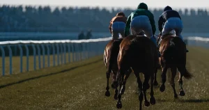 Apostas em corridas de cavalos: regras, escolhas e limites